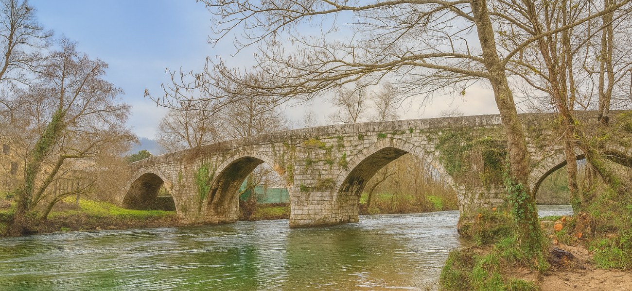A_high-resolution_digital_photograph_captures_an_a